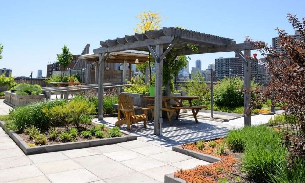 How to Create a Roof-Top Garden